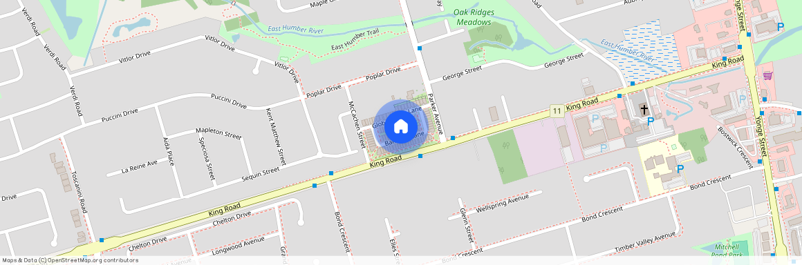 22 Banshee Lane, Richmond Hill