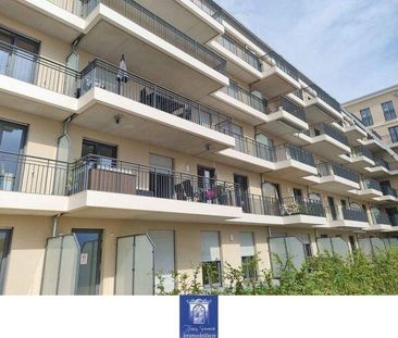 Traum-Familienwohnung an der Elbe im Erstbezug! Eigener Garten, gro... - Foto 1