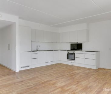 Pilehøj 1B, 2. 4., 3460 Birkerød - Foto 4