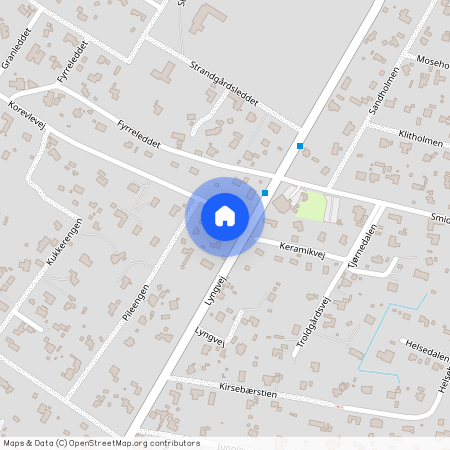 Lyngvej 78, Hønsinge L, 4560 Vig