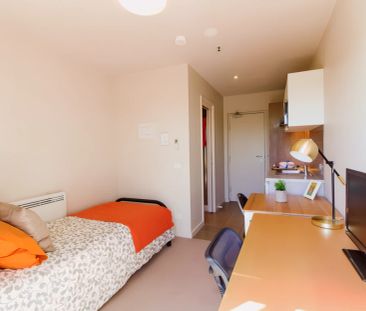 Standard Studio - Photo 4