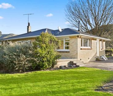 Freshly Renovated Four Bedroom in Rural Locale - Photo 2