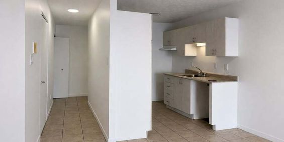 4 ½ RÉNOVÉ|FLEURIMONT|1 MOIS GRATUIT - Photo 3