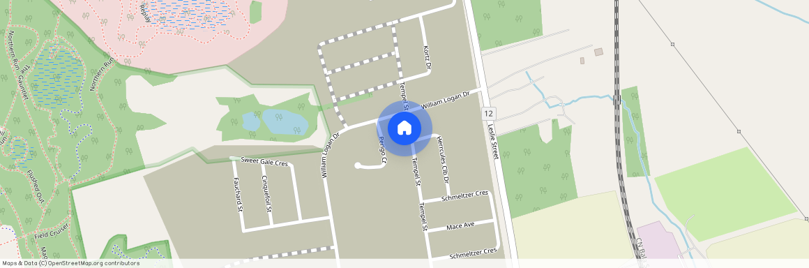 84 Tempel Street, Richmond Hill