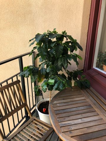 Vikingagatan, Stockholm - Photo 5