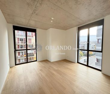 Bel appartement neuf de 5 pièces - Secteur Carouge - Foto 4