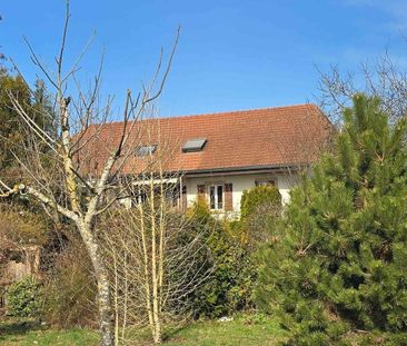 3.5 Zimmer, 85 m², 1. Stock - Foto 5