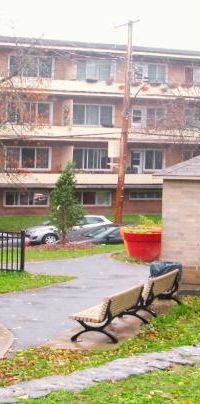 GRAND 4 1/2 PLACE DARLINGTON CARTIER Côte-des-Neiges - Photo 1