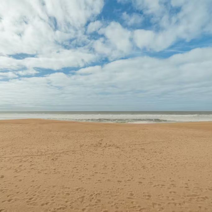 Avenida São João de Deus, Espinho, Castelo Branco 4500-606 - Photo 1