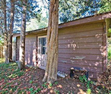 For Lease - 11 Pine Avenue, Mississauga, Ontario - Photo 4