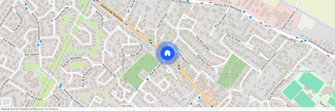 ST ORENS DE GAMEVILLE (31650)