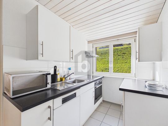 SMALL BUT NICE - Foto 1