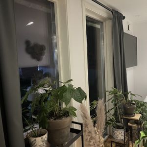 Johan Nådigs väg, Rö - Photo 2