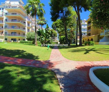 Estudio en Marbella, Puerto Banus, alquiler - Photo 3