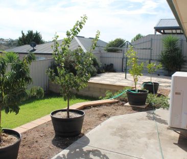 13 Cornwall Street, Sheidow Park SA 5158 - Photo 1