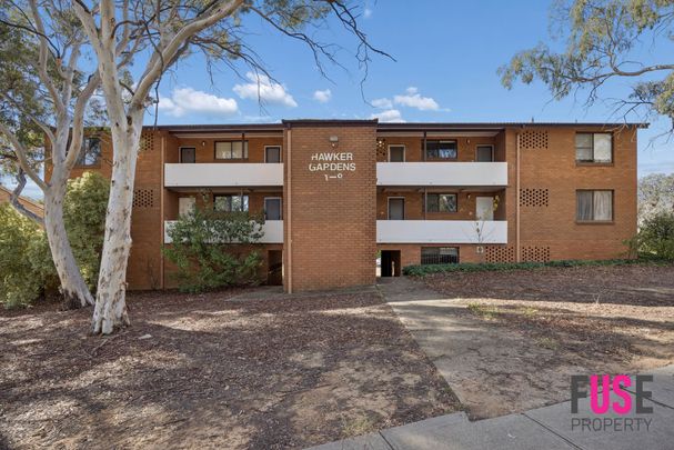 3/153 Murranji Street, Hawker ACT 2614 - Apartment For Rent | Domain - Photo 1