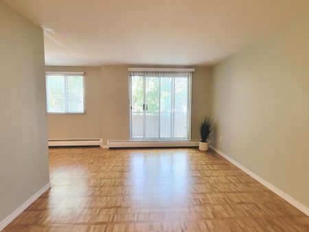 Sharon Garden Suites - ALL INCLUSIVE - Photo 3