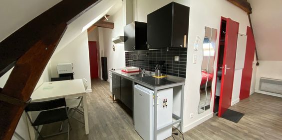 Location Appartement 1 pièce 19m² CHATEAUBRIANT 44110 - Photo 3