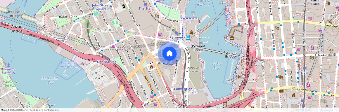 83/32-34 Bunn Street, NSW 2009, Pyrmont