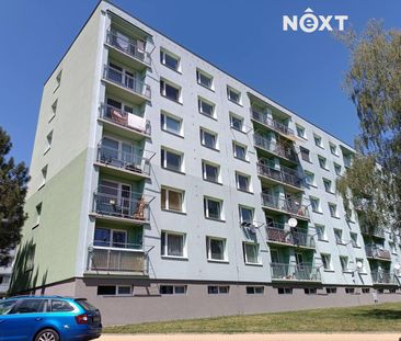 Pronájem bytu 1+1 35 m², Přelouč - Fotografie 4