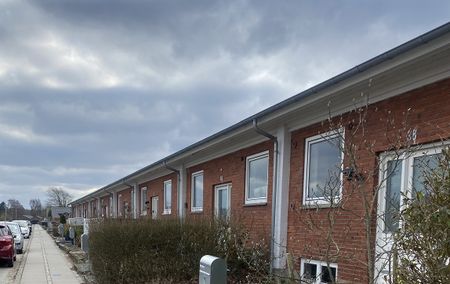 Brårupvej 105 A, 7800, Skive - Photo 4