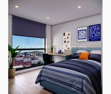 Platinum Studio / Platinum Studio Plus - Photo 1