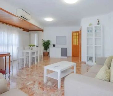 Oliva - Foto 6