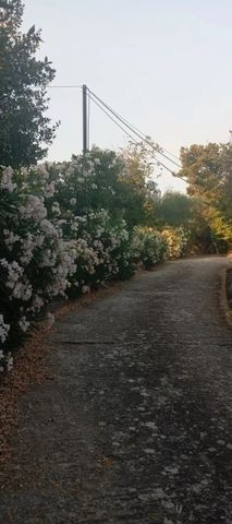 Μονοκατοικία για ενοικίαση Άνοιξη - Photo 5