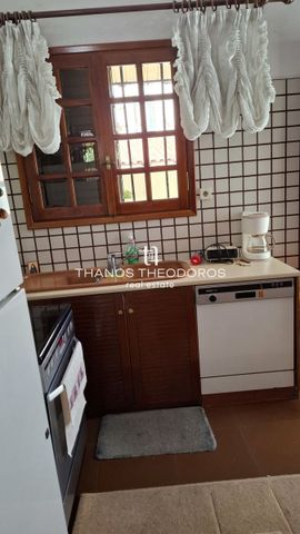 Μονοκατοικία για ενοικίαση Μαρούσι - Photo 3