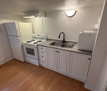 Renovated 2 Bedroom + Den Downtown - Photo 2