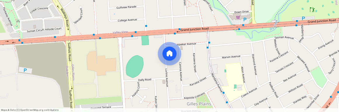 78 Lurline Avenue, Gilles Plains