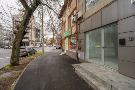 Drumul Sarii, Razoare, Metrou Academie, Comision 0 % - Fotografie 3