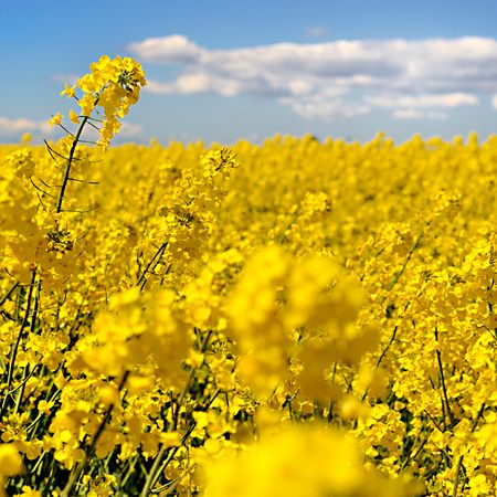 Bruksparken 9 - Photo 3