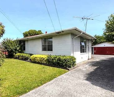 AVONHEAD - 3 BEDROOM HOME, HEATPUMP, FULLY FENCED - Photo 5