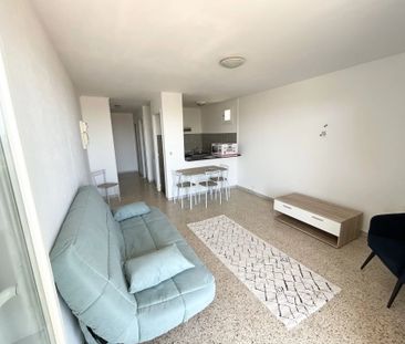 Location Appartement 1 pièce 29m² BASTIA 20200 - Photo 1