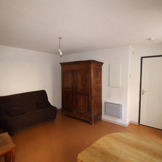 Location Appartement 1 pièce 23m² MILLAU 12100 - Photo 1