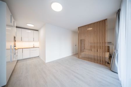 Pronájem bytu 1+kk • 41 m² bez realitkyGerstelova, Praha - Vysočany - Фото 2