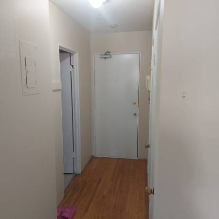 pet friendly one bedroom - Photo 4