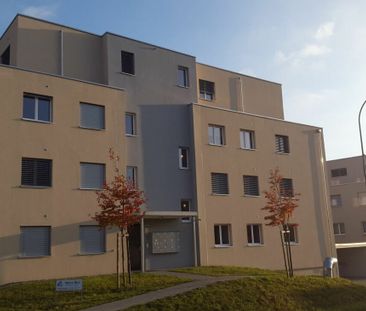 Zeihen / 3.5-room attic apartment A A.1 - Photo 3