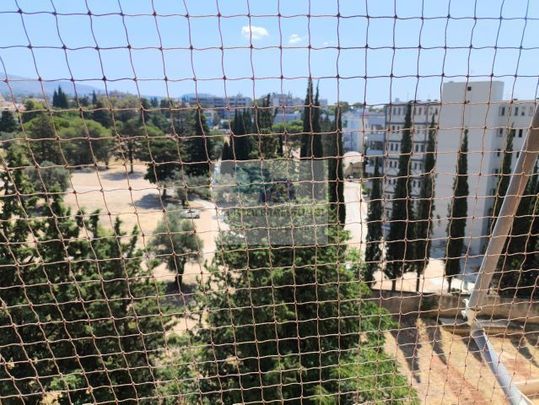 Διαμέρισμα για ενοικίαση Προφήτης Ηλίας (Κηφισιά) - Φωτογραφία 1