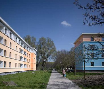 Demnächst frei! 3-Zimmer-Wohnung in Dortmund Scharnhorst - Photo 1