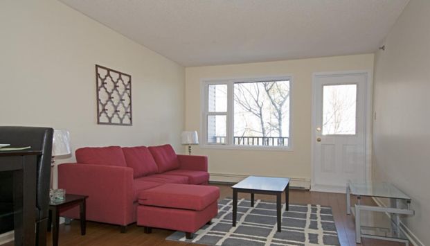 50 Barkton Lane - Photo 1