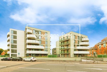 1 bedroom property to rent - Photo 4