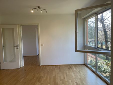 2-Zimmer-Neubau in Grünruhelage mit Vogelgezwitscher: Max-Reinhardt-Gasse bei der Koreanischen Botschaft! - Photo 4