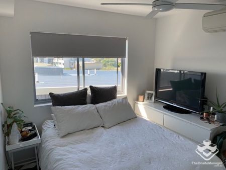 Brand New Carpet - Photo 5