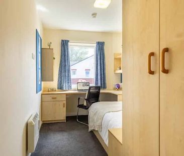 Premium Ensuite - Photo 5