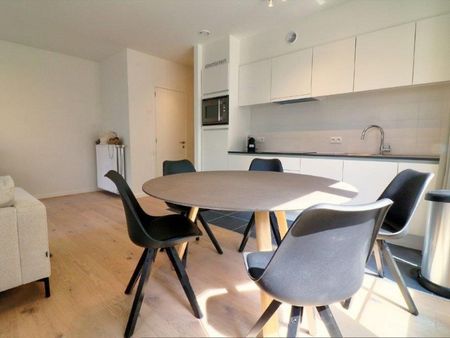 IXELLES : PLACE LUX - MEUBLE 2 CHAMBRES, TERRASSE - Ixelles - Foto 5