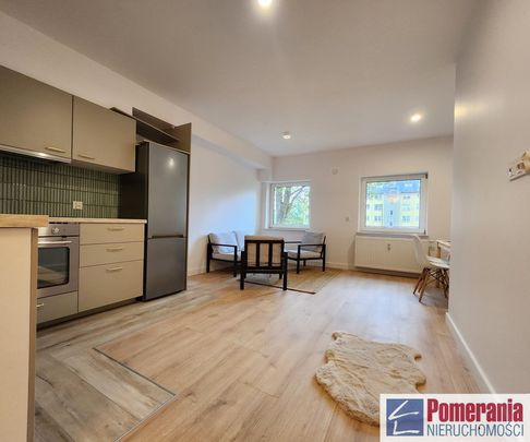 Niebuszewo, ul. Juliana Ursyna Niemcewicza - Zdjęcie 1