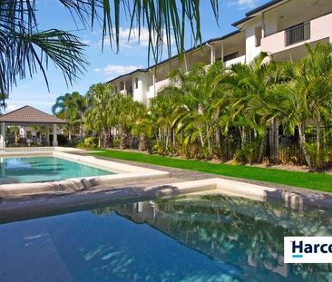 37/6 Henry Street, West End - Photo 1