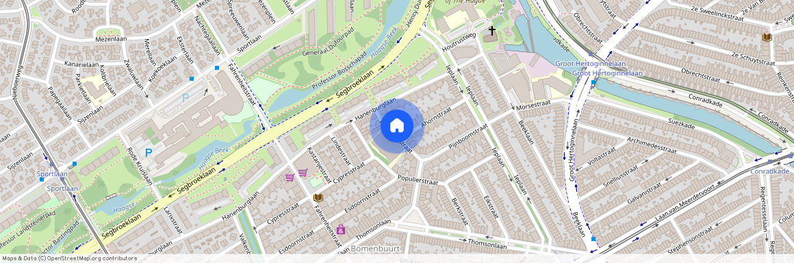 Pijnboomstraat 115, 2565ZM, 'S-Gravenhage